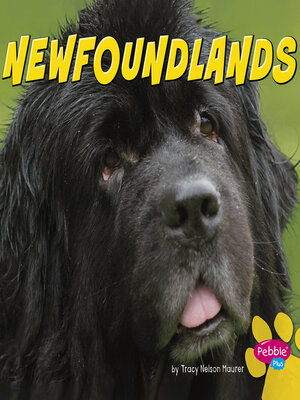 cover image of Newfoundlands